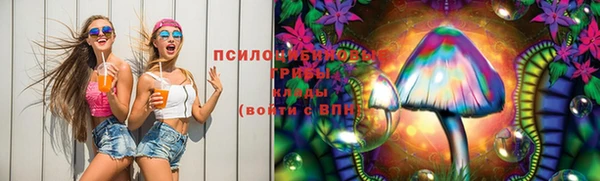 мдпв Михайлов
