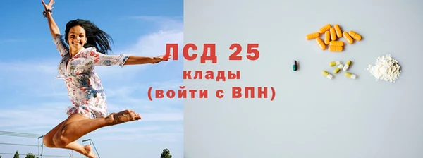 мдпв Михайлов