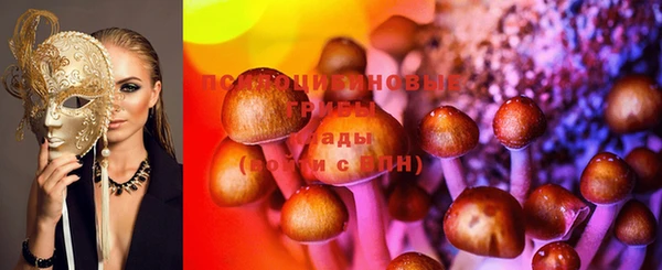 мдпв Михайлов